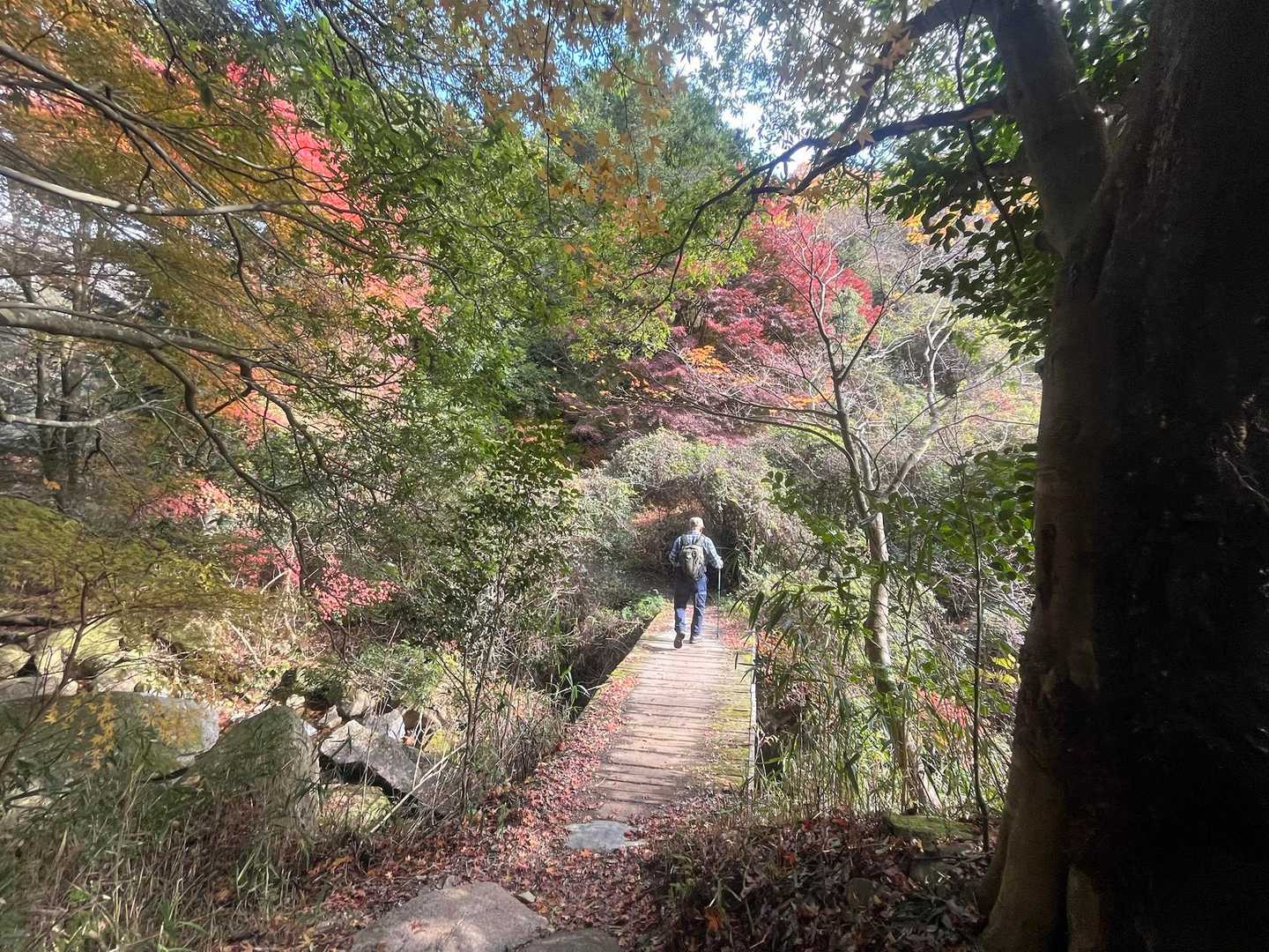 橋を渡る。