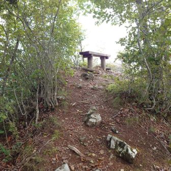 西立岩の山頂に着いた！