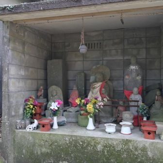 愛宕山。
きつかったが❗️登って来ました。