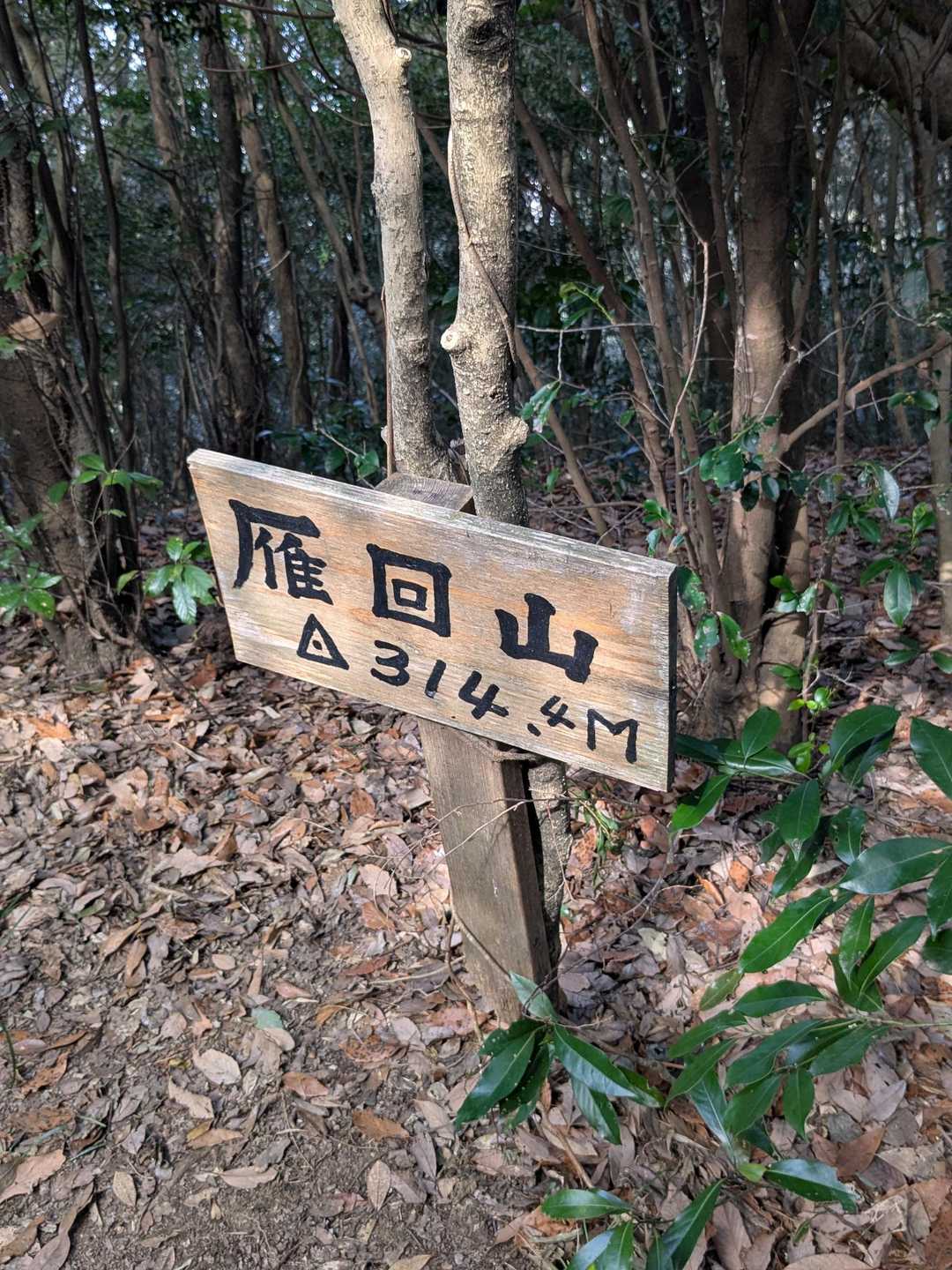山頂到着