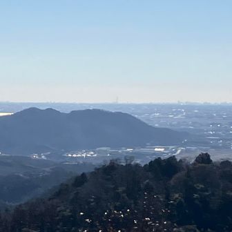 スカイツリーも見えました