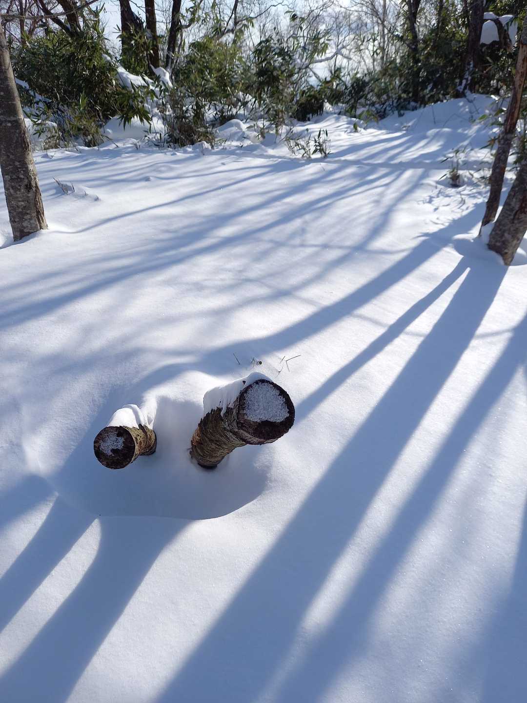 到着ここがピークですね　👍