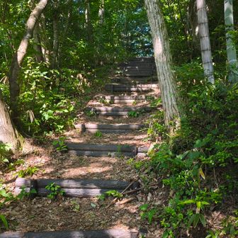 分岐まで戻ってきました