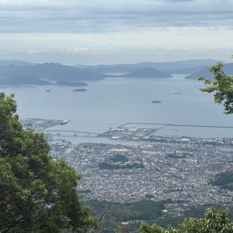 今日は涼しい感じですねー