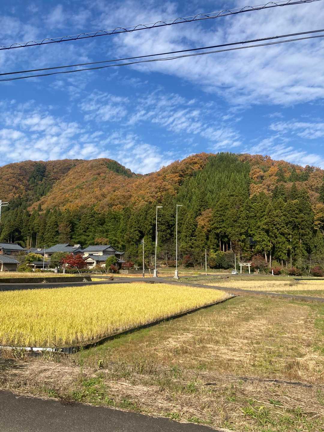 登り始めから綺麗な山々