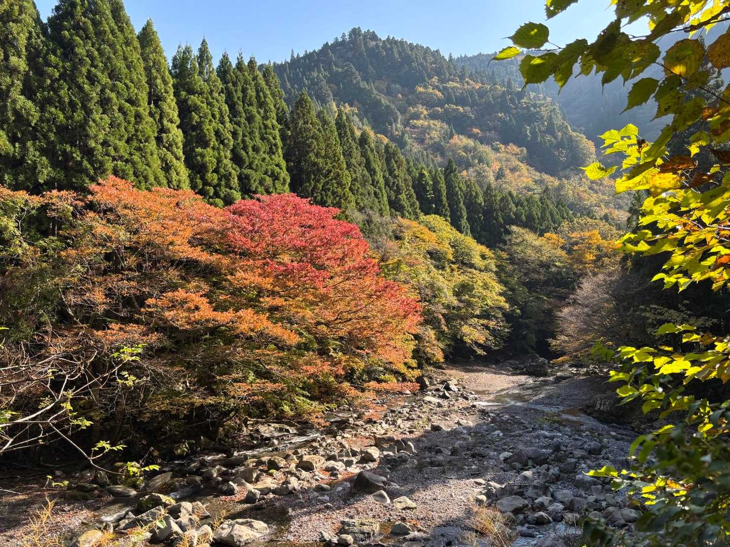 林道途中の絶景スポットです