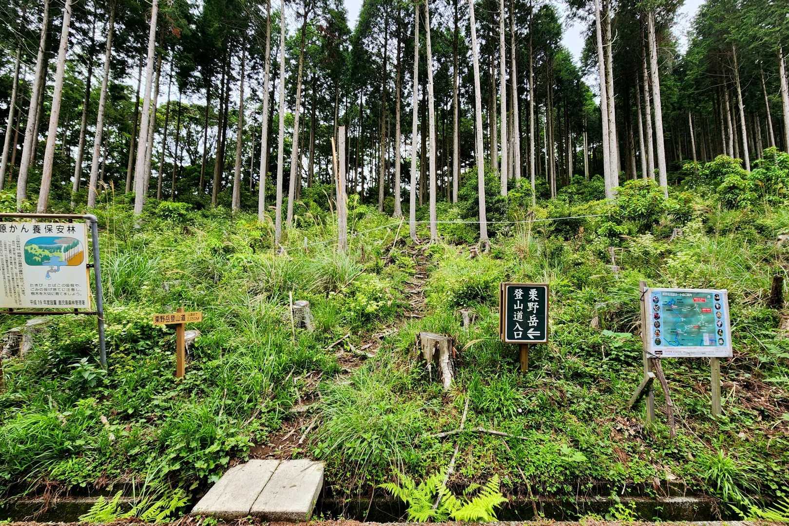 スタート地点迄車道🚶‍♂️
通行止め工事箇所もそろそろ完了しそうに見えましたが？