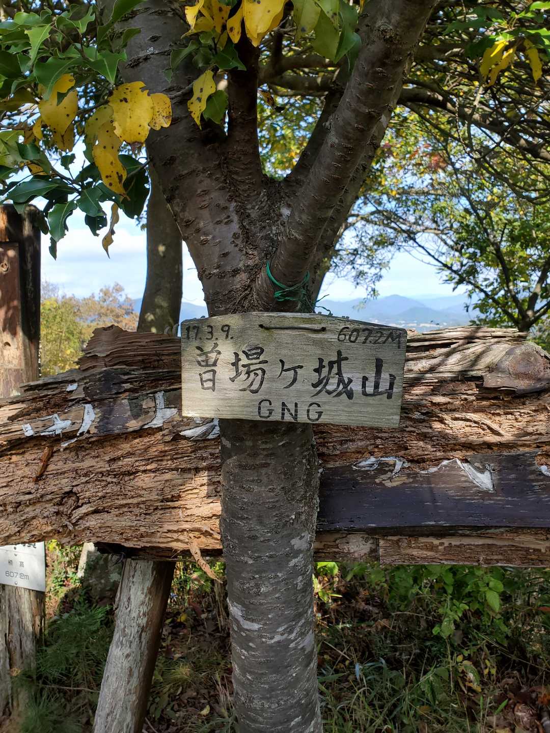 着いた🙌
