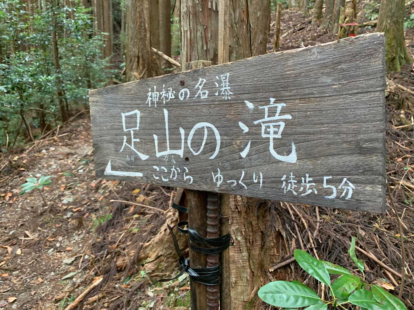 足山の滝に進みます