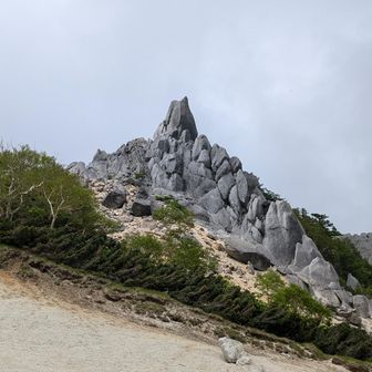 マウントブック