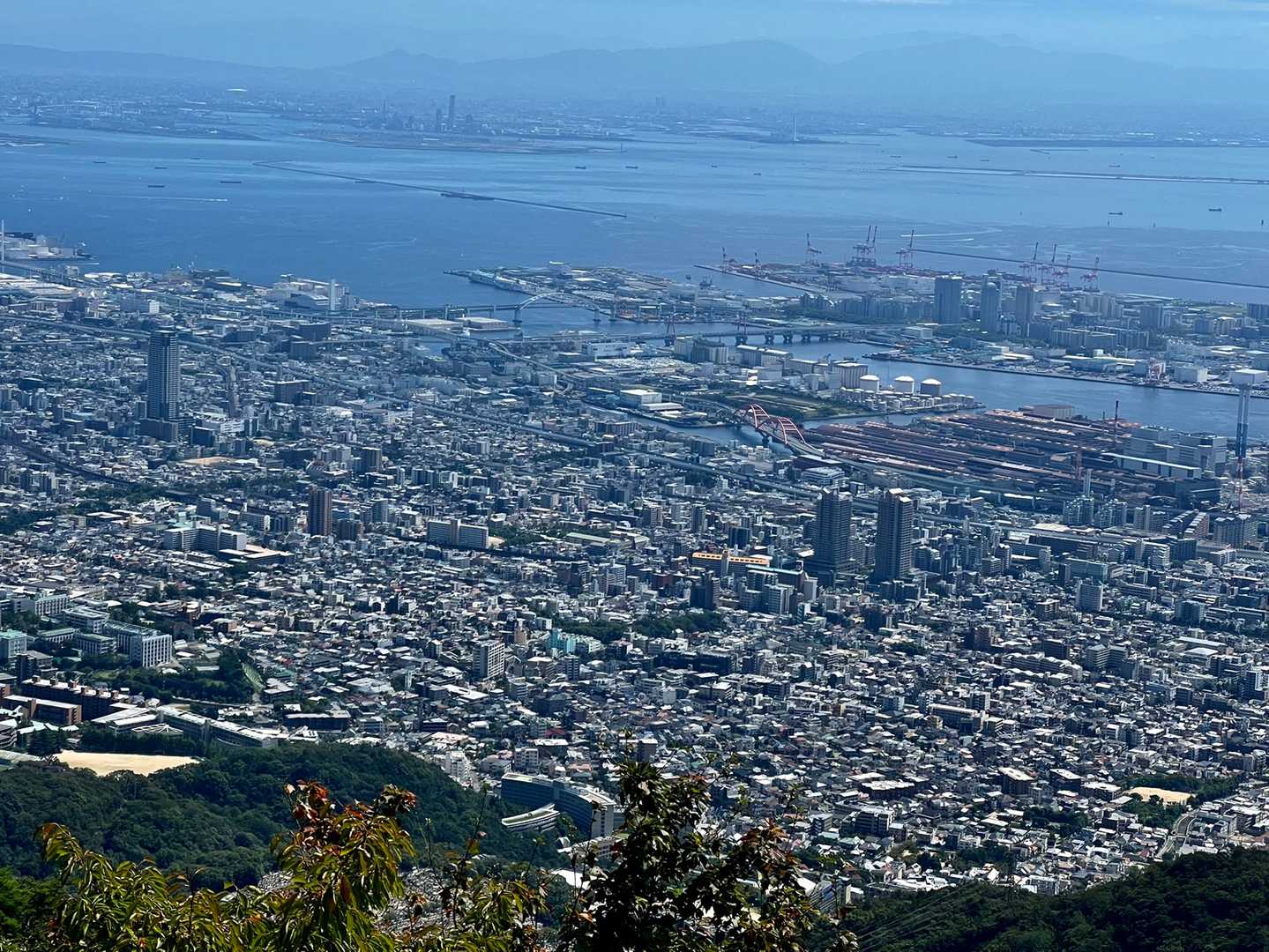 摩耶ケーブル下バス停 周回コースの写真