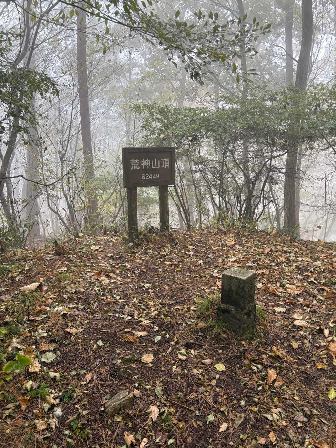 荒神山入口-荒神山 往復コースの写真
