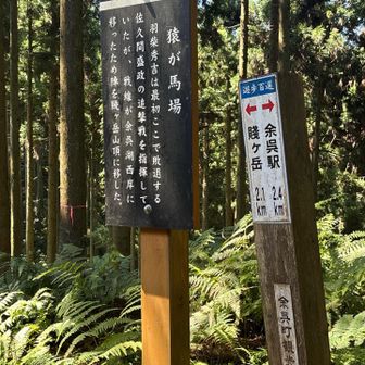 写真撮り忘れたけど、この前に首洗いの池通過