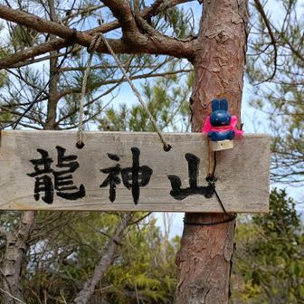 龍神山　山頂表示にマスコット設置してプレート🐶をワイヤー固定🐰盗ったら⛩️龍神様🐲からバチ当たり😾