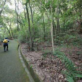 汗出るまでが辛いけど、出たら出たでキツイ（笑）