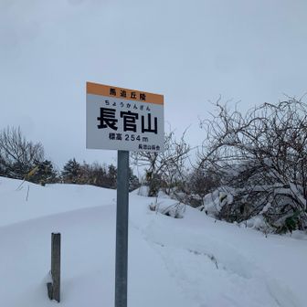 ここまでくるとトレースあり。