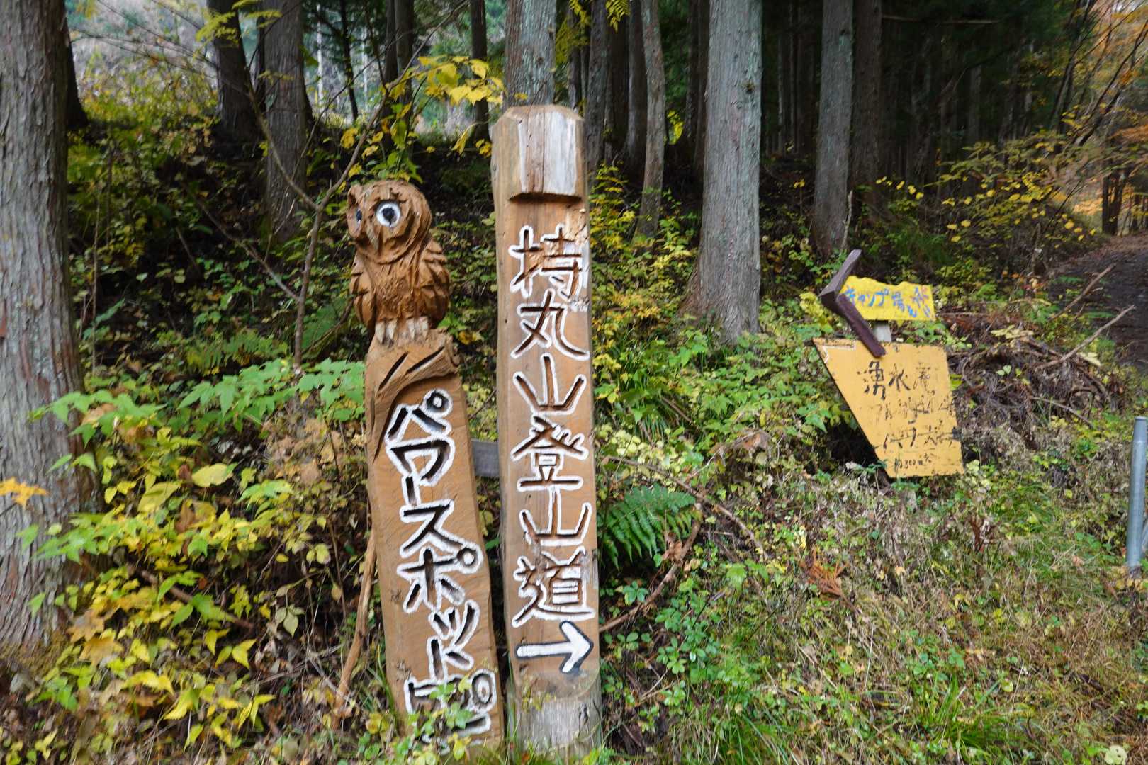 持丸山 往復コースの写真