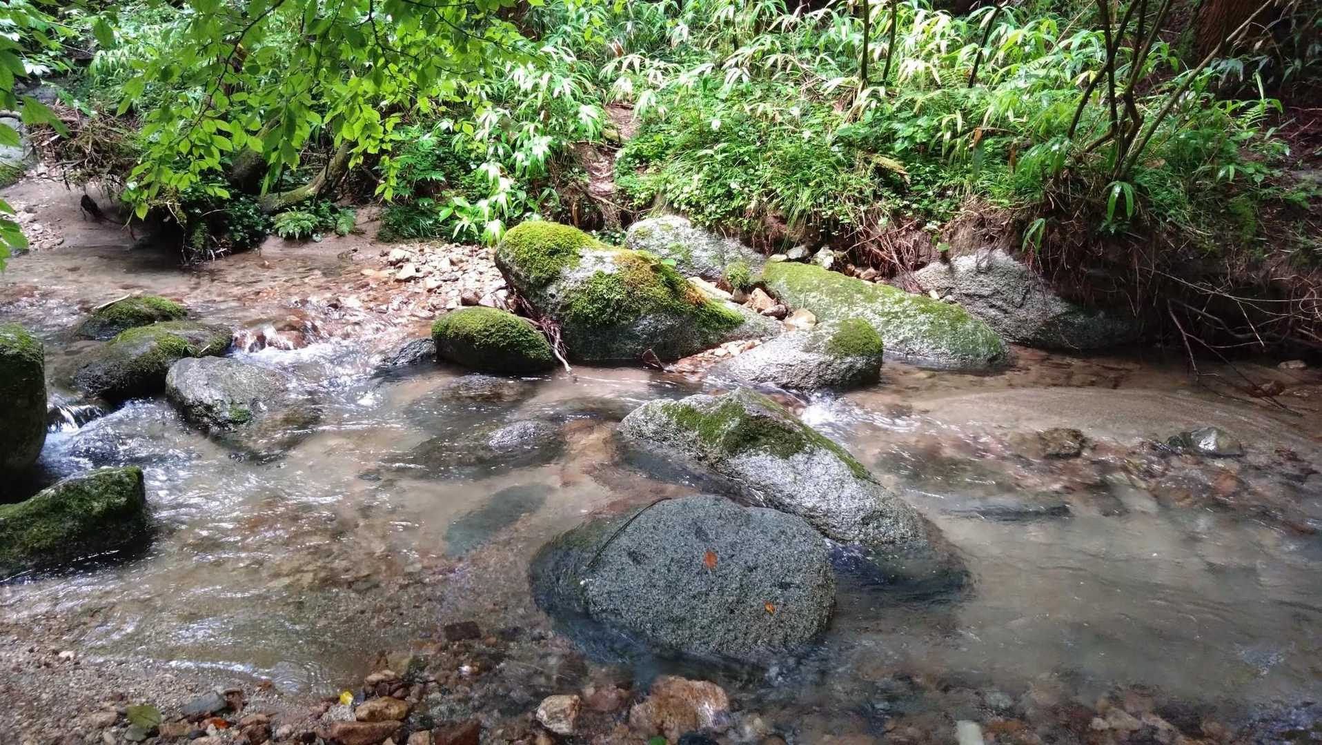 坂本峠-蛤岳 往復コースの写真