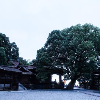 静かな境内😌