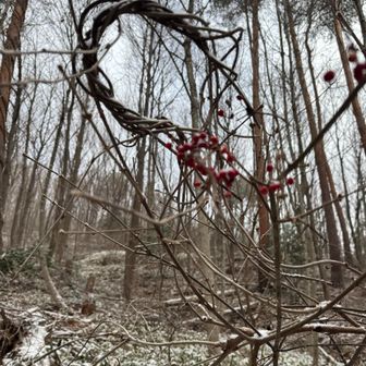 天然のリース
うまく撮れず😆