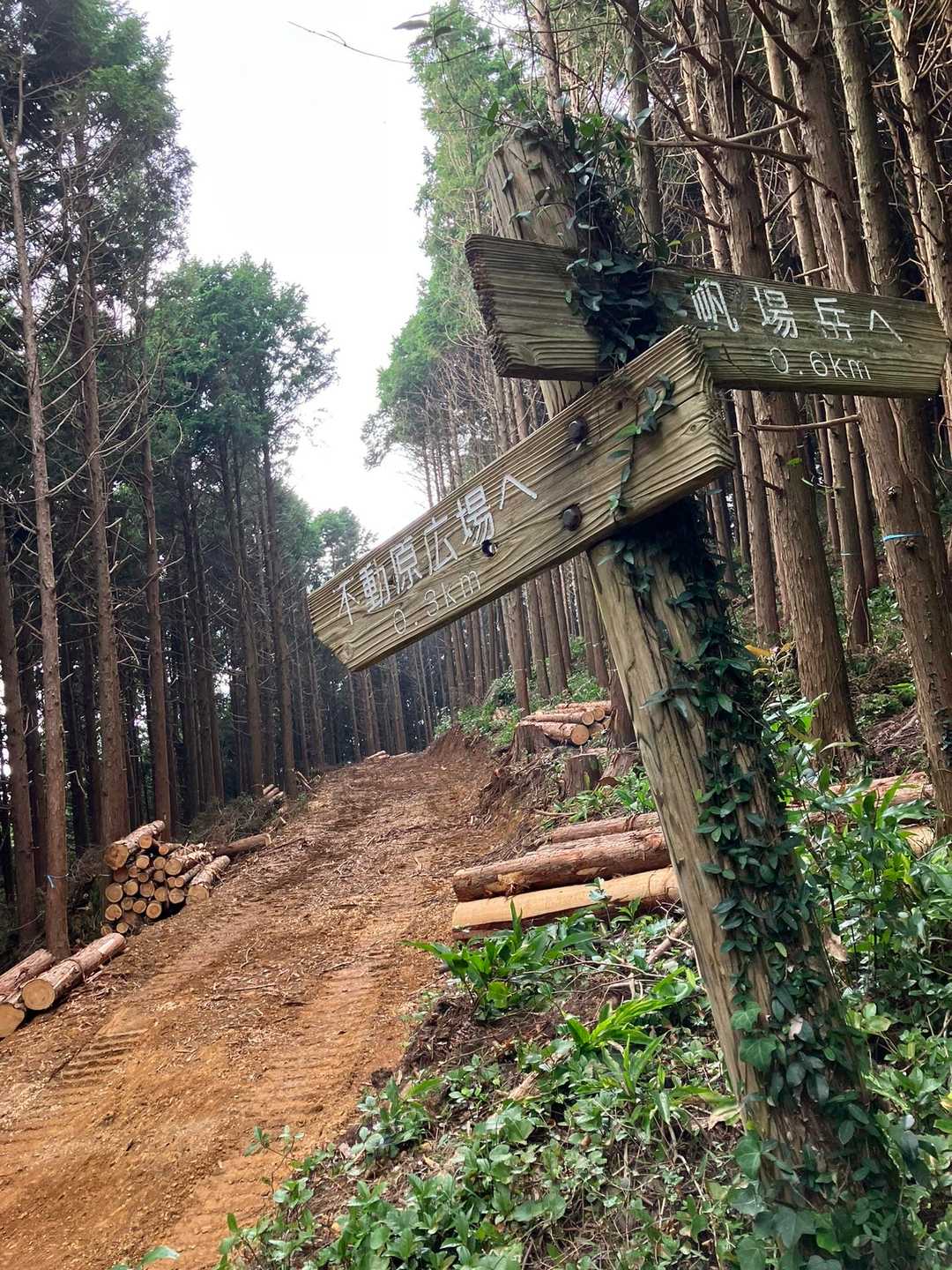 不動原への山道も林道に変わってます