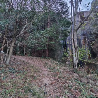 よく整備された登山道