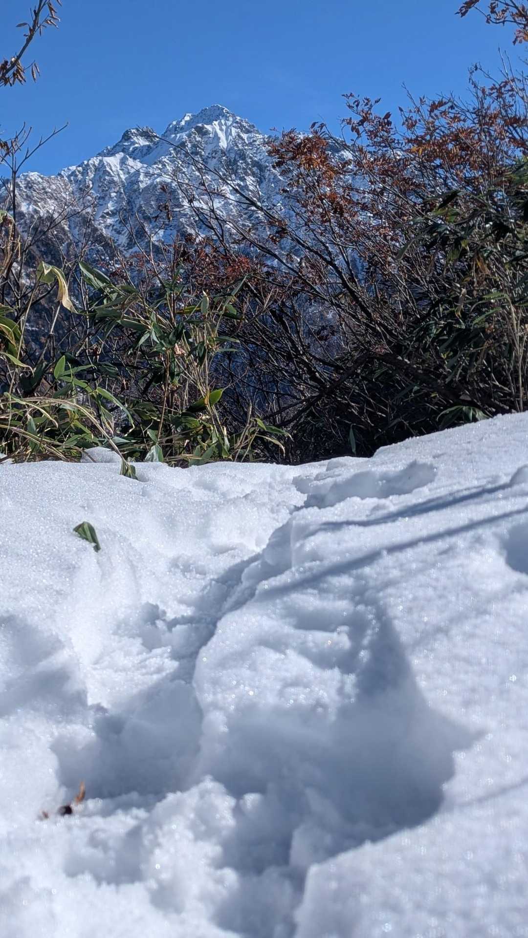 雪の量はこんな感じな所も