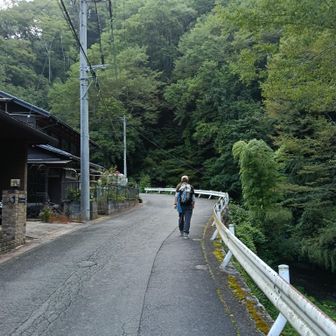 何気に長生きアスファルト