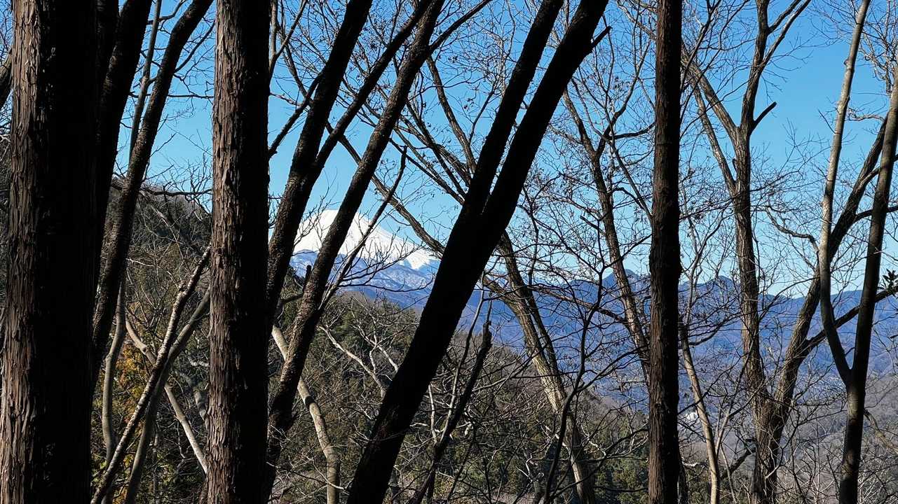 奥高尾〜裏高尾縦走（陣馬山・堂所山・富士見台・駒木野） の写真 10