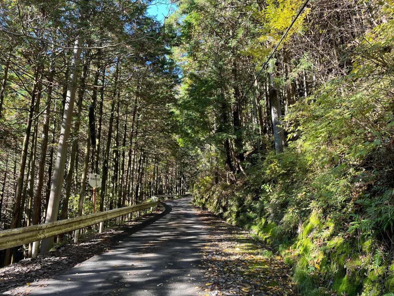 登山口まで林道を30分くらい。
なかなか長い😅