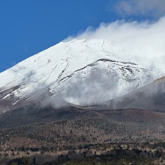 上の方は風が強そうです