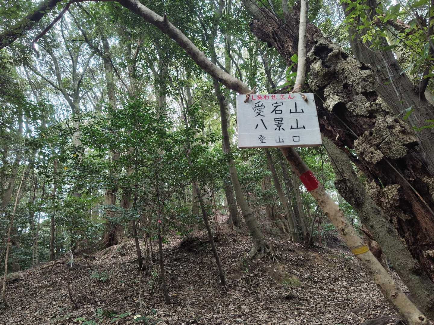 次は八景山へ