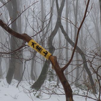 大黒山山頂ー🏔️