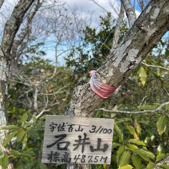 ここからの下山かかなり危なかった💦
