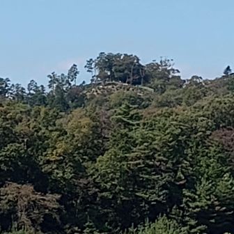 遠くに見える柏木山山頂。