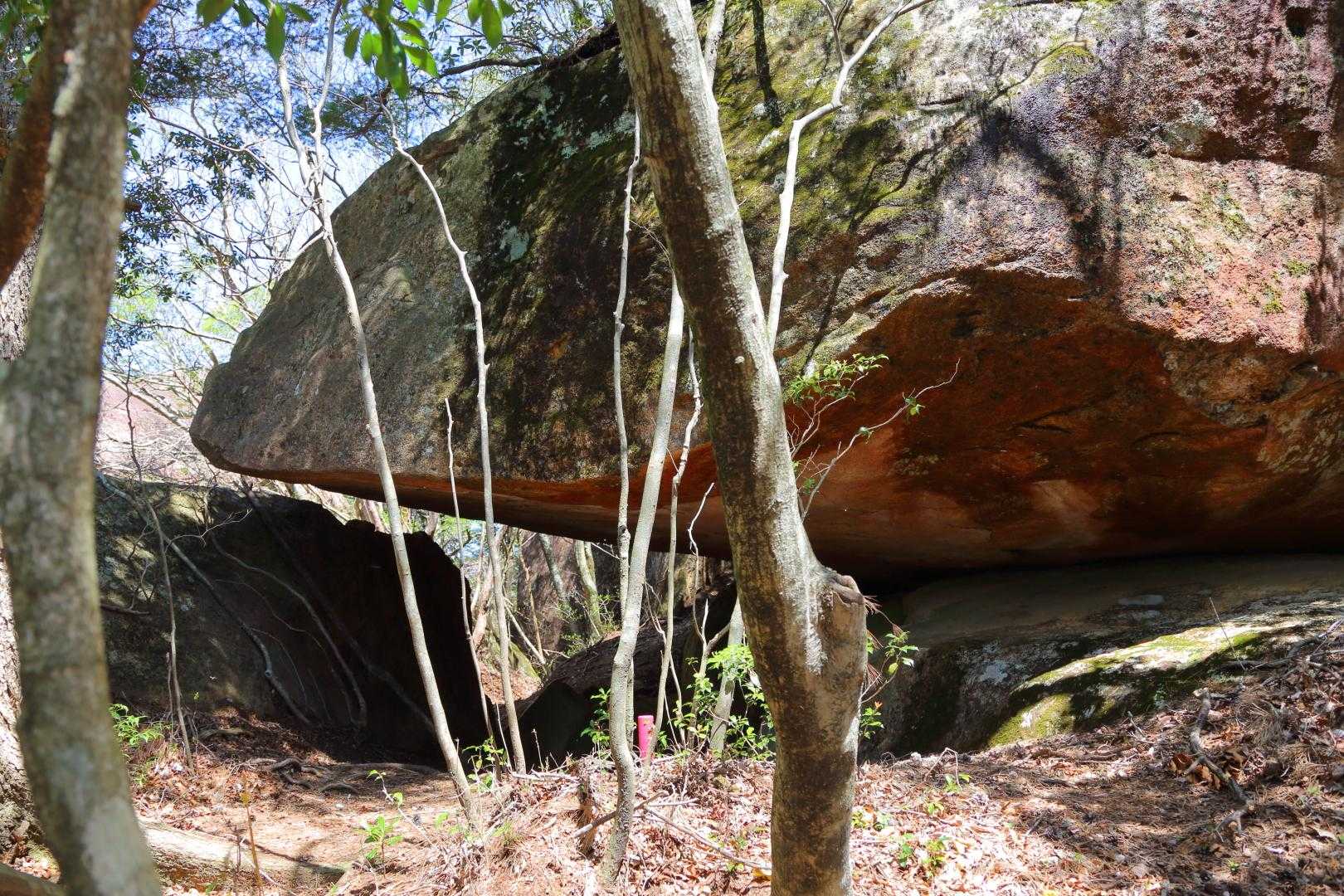 比叡山-稗ノ山 周回コースの写真