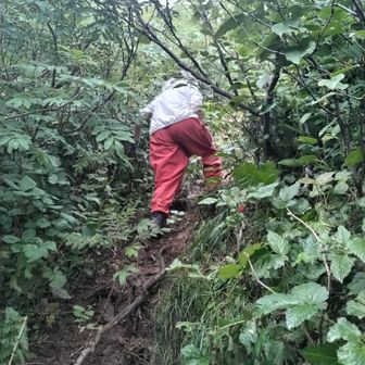 赤岩岳の傾斜が・・・
