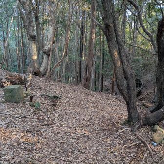 急ですが歩きやすいです