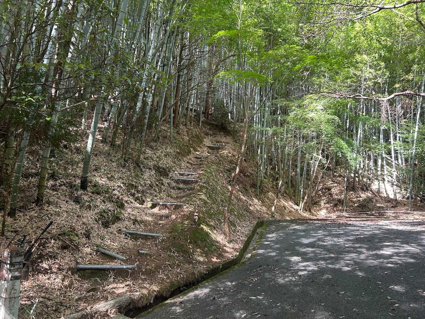 登山口までの道のりを全く覚えてなかったわ
