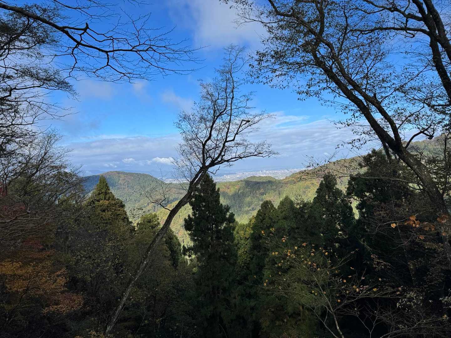 取り付き-砥山-城山-水谷山-あかはげ山-寺山-漆器神社 縦走コースの写真