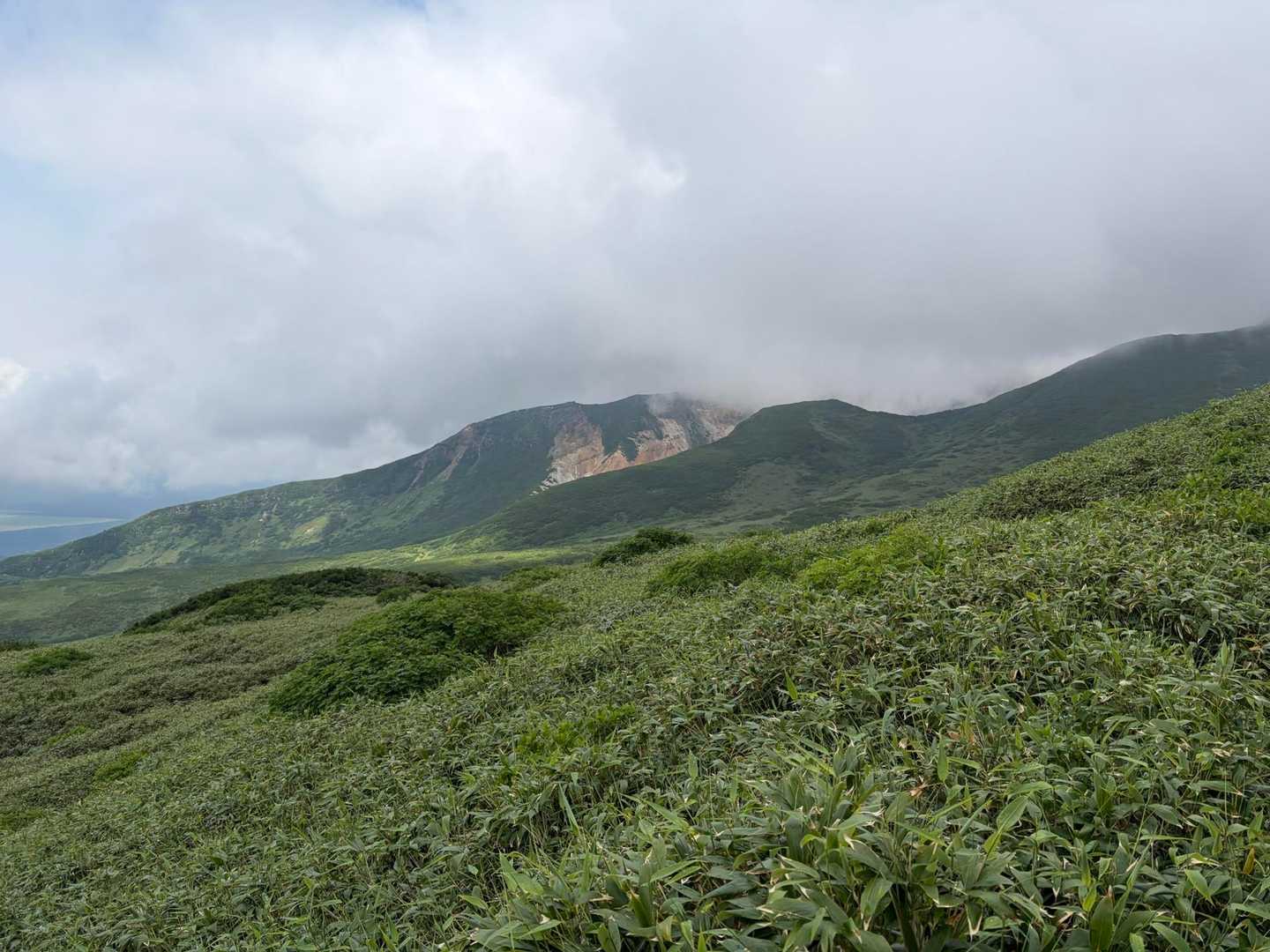 富良野岳往復 | 十勝岳温泉から楽しむ、雪渓とお花畑の山の写真