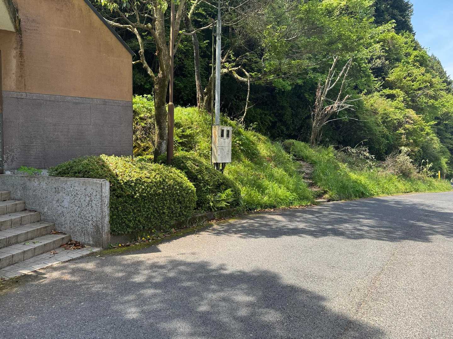 げざん
水越峠のトイレの横の階段のところに出てきました