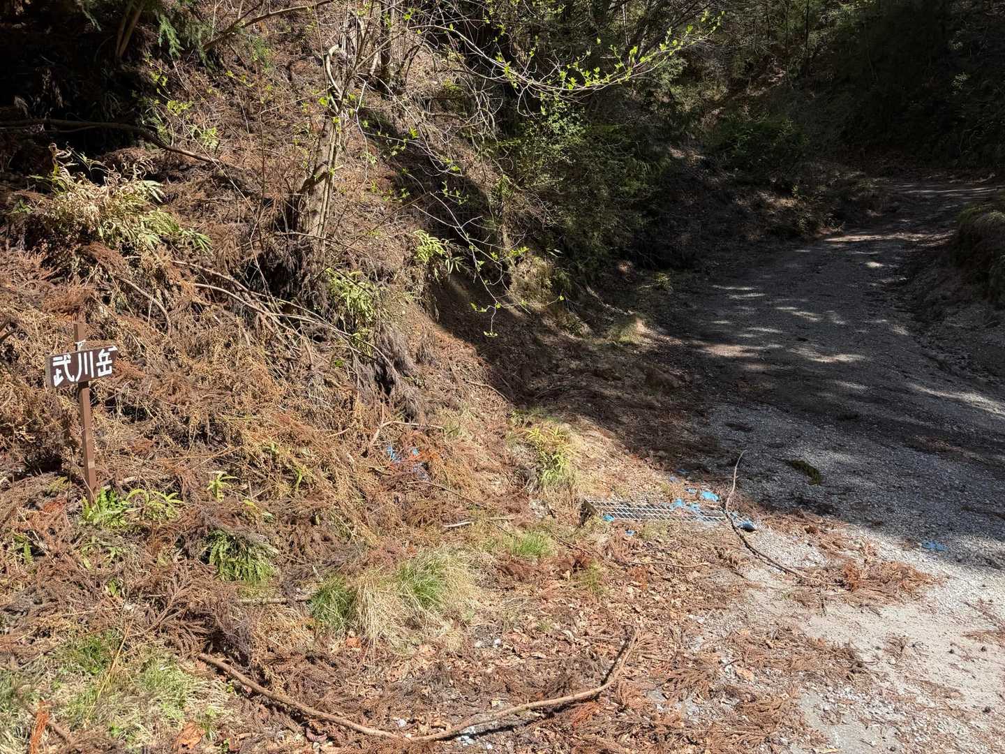 武川岳-前武川岳 周回コースの写真
