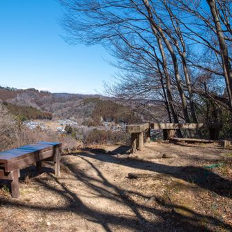 網代弁天山・網代城山 展望台