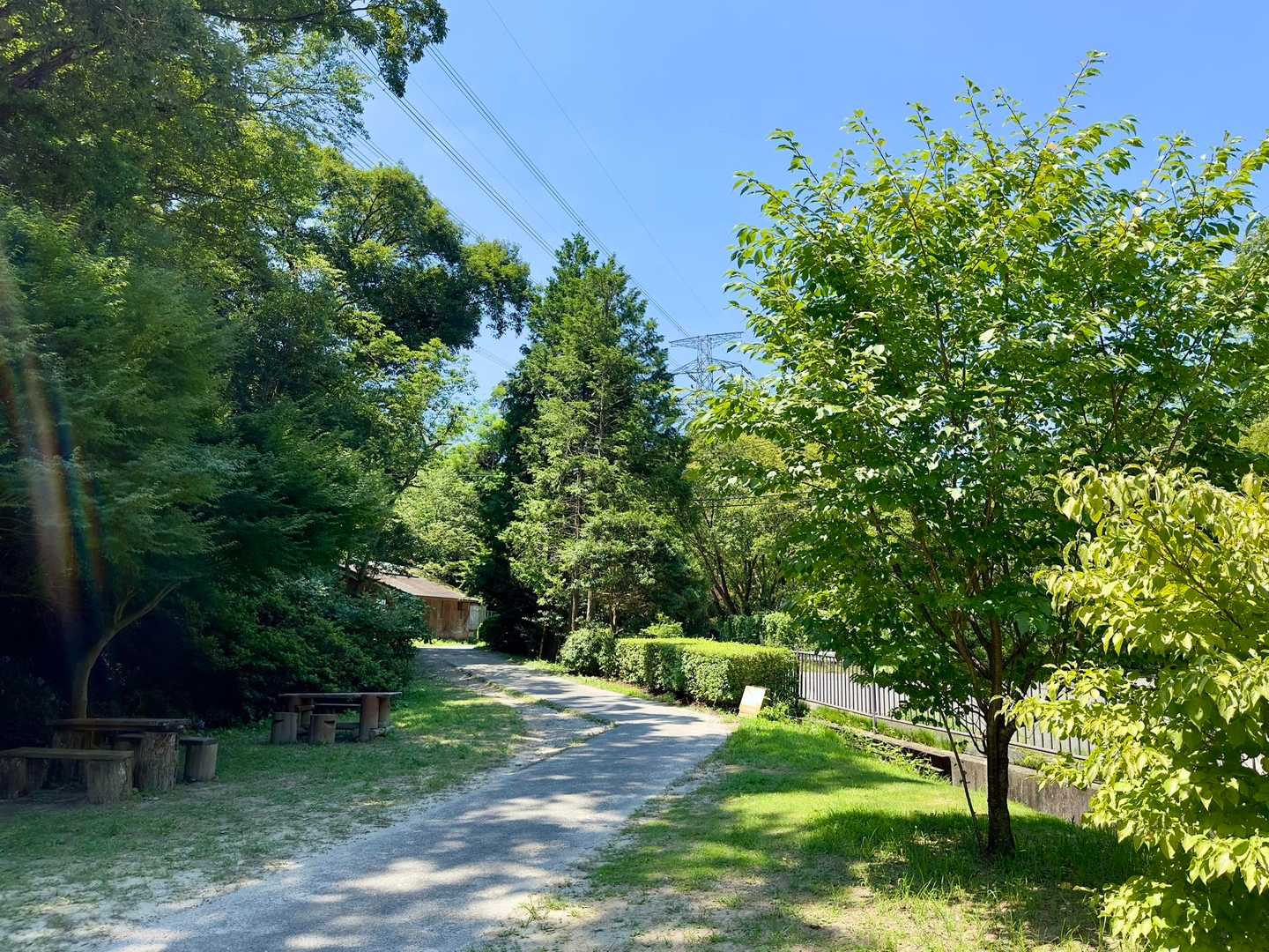 園地の入口まで戻ってきました
爽やかそうに見えるんですが暑くて暑くて…