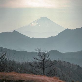 平沢山と飯盛山の分岐まで来ると富士山🗻