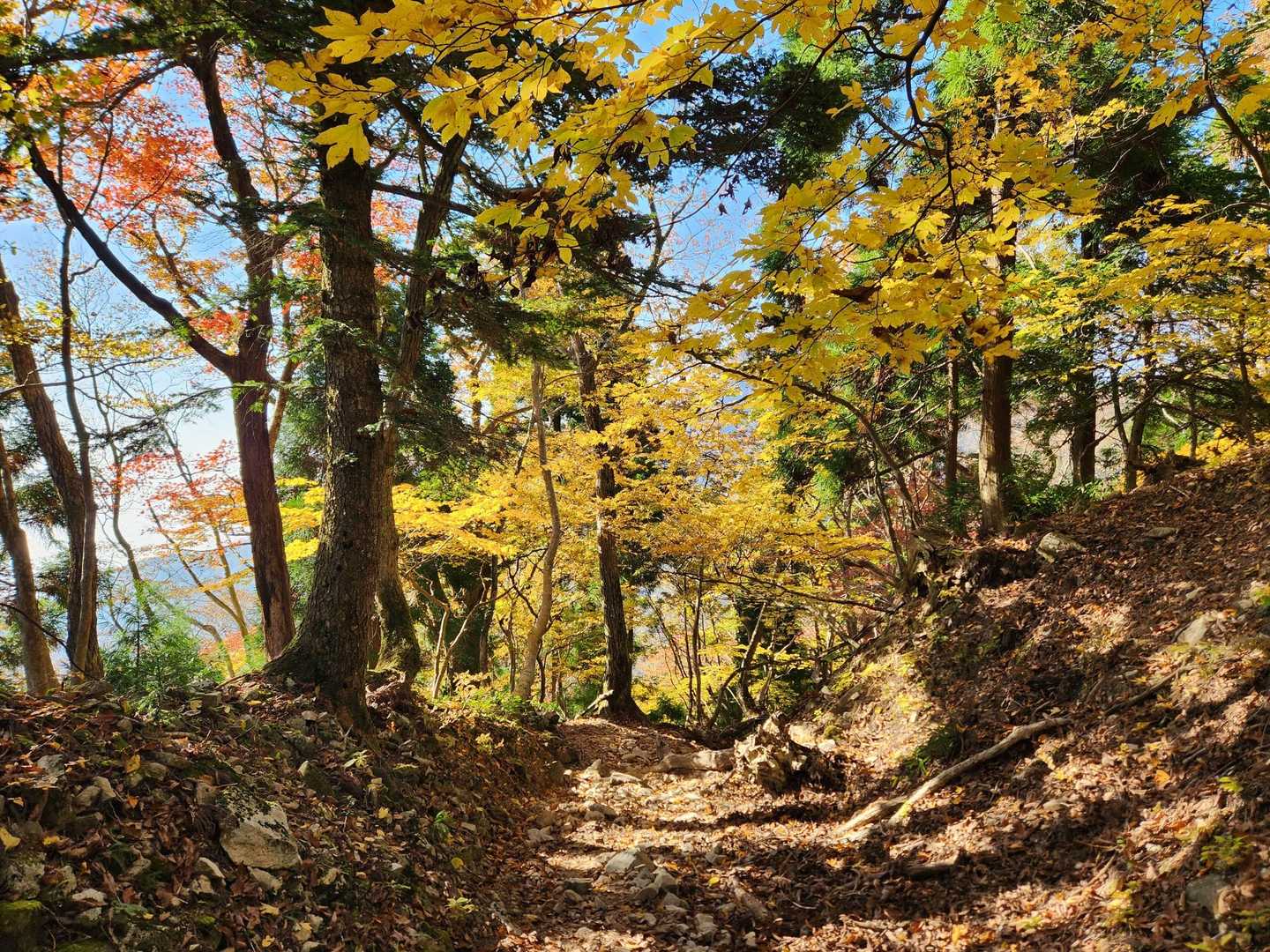 金糞峠-前山-北比良峠 周回コースの写真
