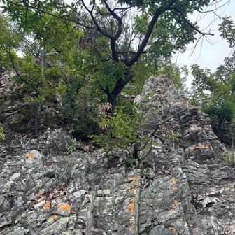 岩場が続く。
慎重に降りていきます。