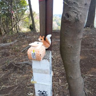 どこか山頂で休憩🥰
帰省中の長女の土産の大手まんじゅう💯
まんじゅうの中で、No1かな😀
