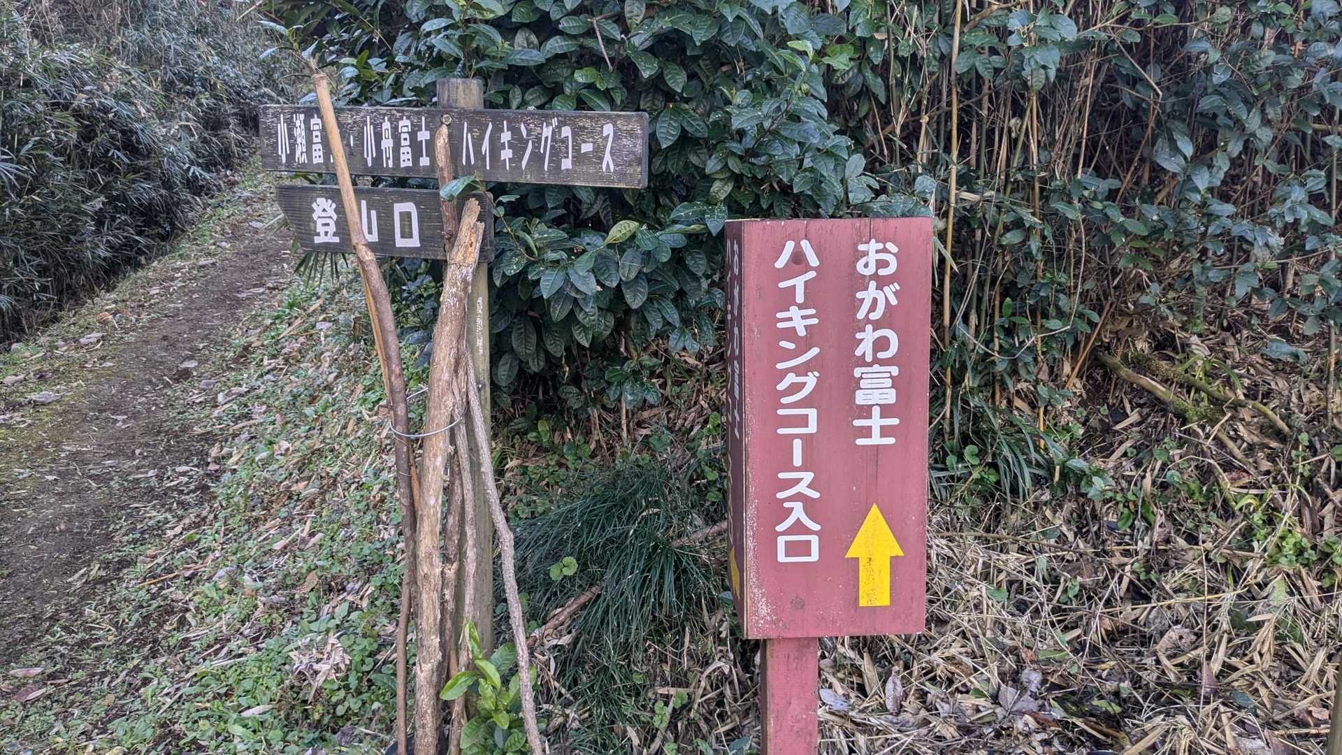 小瀬富士-小舟富士 周回コースの写真